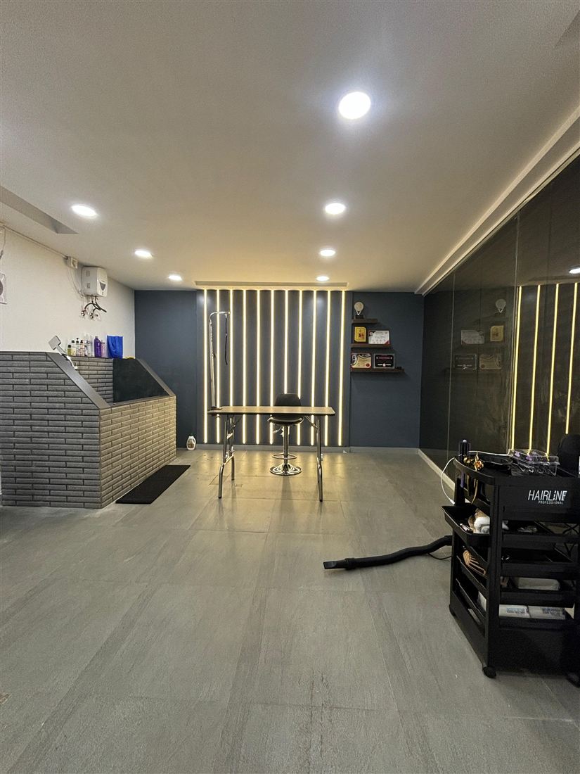 Inside the For Our Pets grooming studio