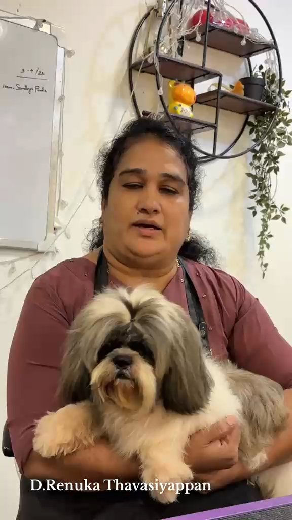 D. Renuka Thavasiyappan with her Shih Tzu